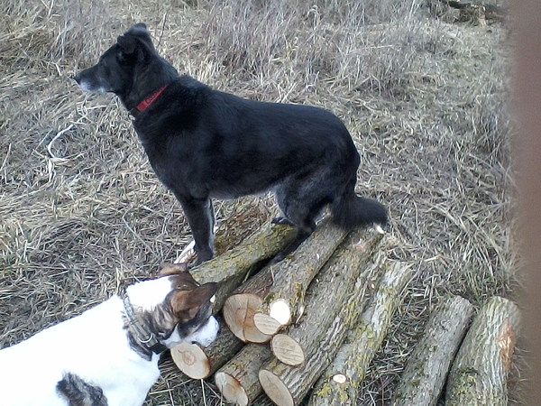 med_Volle Kontrolle.jpg (600 x 450)